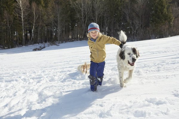 Histoires drôles à propos d'animaux de compagnie et leurs maîtres